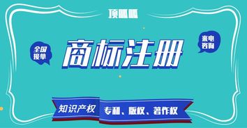 顶峰知产 以高成功率赋能企业商标与知识产权保护