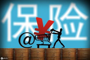 数字浪潮下的保险异类 一个码农的2万份保单传奇